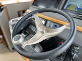 Sargo 31